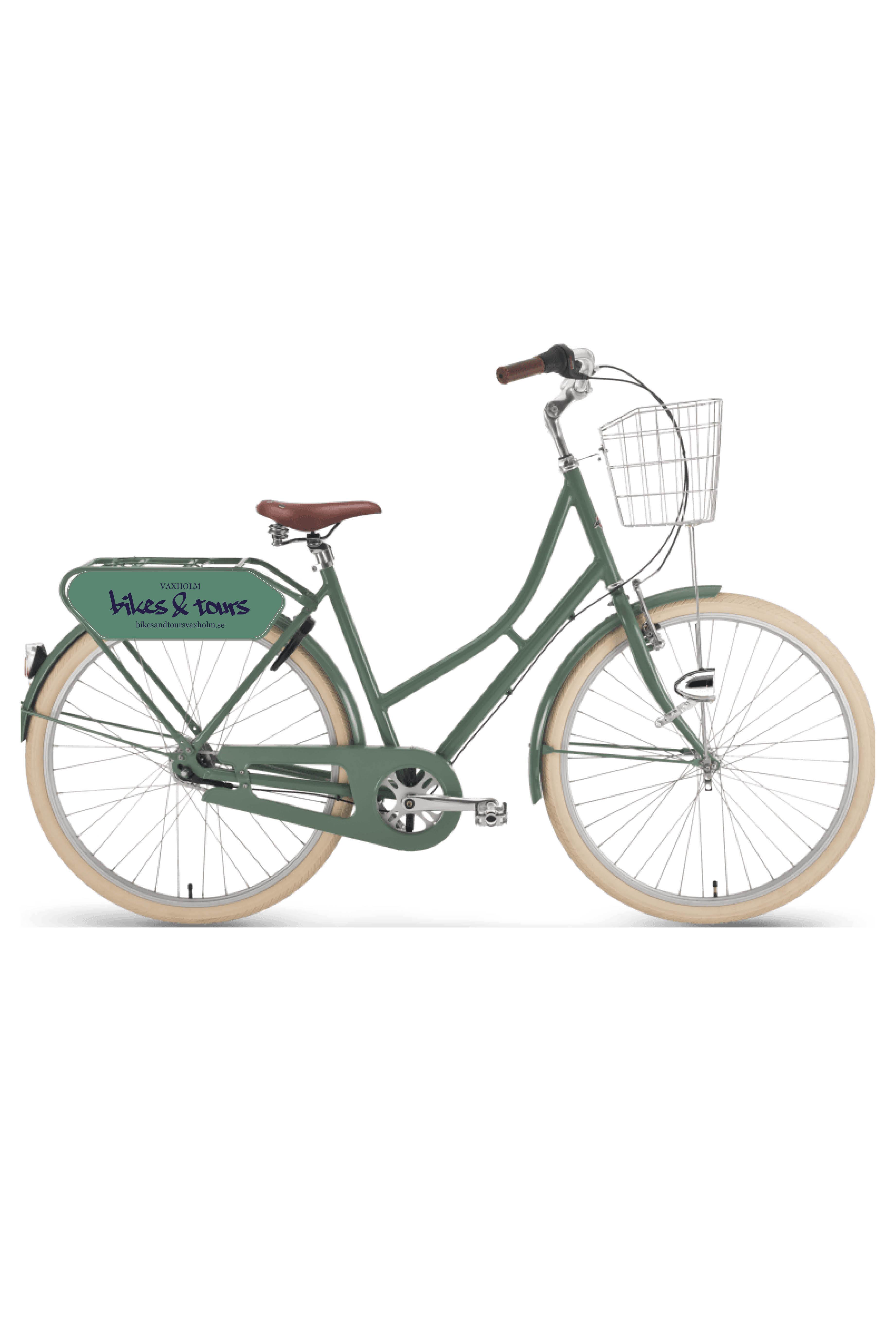 Regular bike